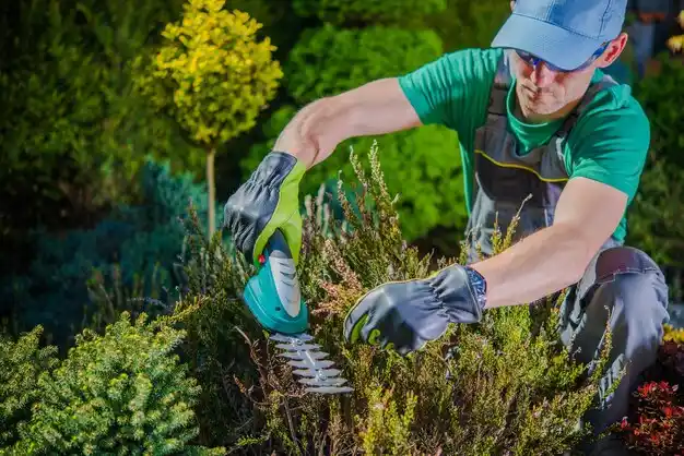landscaping services Romulus